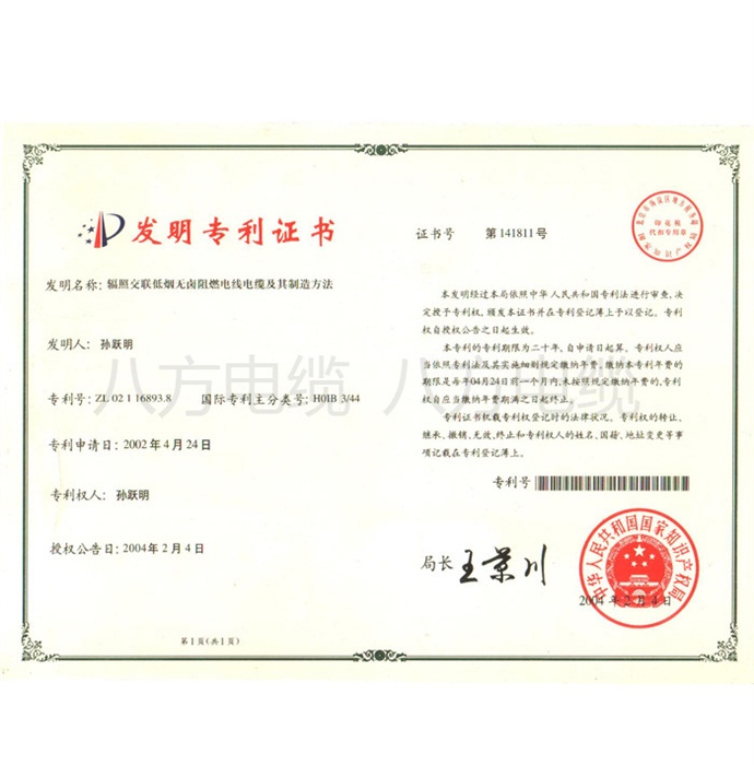 專利